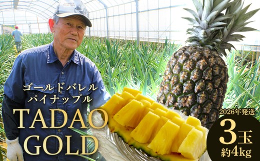 TADAO GOLD 3玉 約4kg(多冠芽含む)【ゴールドバレル】2026年発送 ゴールドバレル パインアップル タダオゴールド たまき ただお 逸品 パイン職人 最高級 国産パイン パイナップル パイン 匠 高級フルーツ 南国フルーツ 特別 希少 玉城忠男 農家直送 沖縄 東村 1115794 - 沖縄県東村