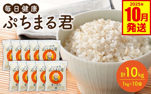 麦ごはん ぷちまる君 10kg 1kg×10袋 熊本県産大麦100％ （ 麦 ごはん 米 大麦 小分け 白米と一緒に炊くだけ 健康  大麦ダイエット 大麦コレステロール低下） 【2025年10月発送】
