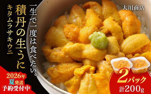 【2026年夏発送分】ムラサキウニ100g×2パック