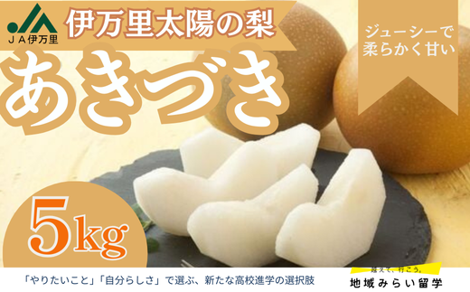 [JA伊万里]佐賀・伊万里梨「あきづき」5kg