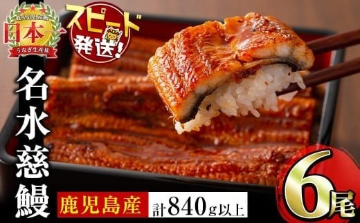 【10営業日以内に発送】鹿児島県産うなぎ蒲焼 名水慈鰻 6尾＜計840g以上＞ うなぎ 鰻 ウナギ 6尾 国産 蒲焼 かばやき 冷凍 真空 真空パック 無頭 うな重 ひつまぶし タレ 山椒 c3-024