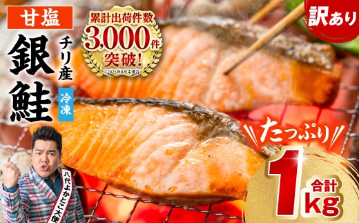 【訳あり】 銀鮭 切り身 たっぷり合計 1kg （鮭 塩鮭 サケ サーモン 甘塩 切身 切り身 大容量 人気の鮭 カマ 希少 魚 鮮魚 冷凍） 【順次発送】