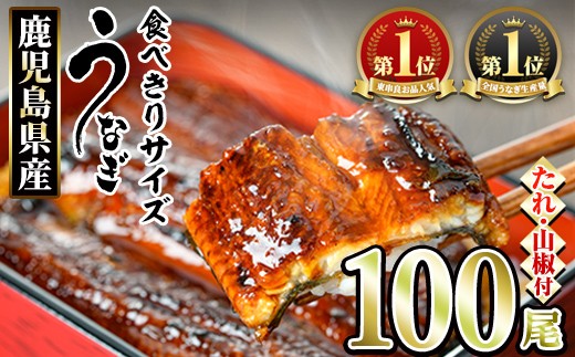 【3344331a】＜食べきりサイズ！＞東串良町のうなぎ蒲焼(無頭)(100尾・計10000g・タレ、山椒付) うなぎ 高級 ウナギ 鰻 国産 蒲焼 蒲焼き たれ 鹿児島 ふるさと 人気 【アクアおおすみ】
