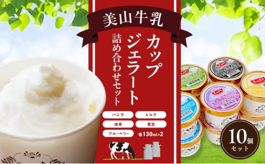 [№5334-0669]美山牛乳 カップジェラート 10個 詰め合わせセット | デザート お菓子 スイーツ 冷凍 ギフト 南丹市 2254354 - 京都府南丹市