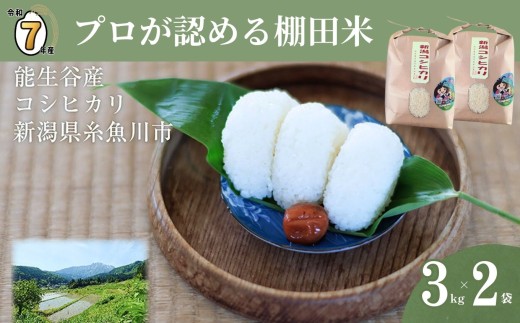【2026年5月発送】令和7年産新米予約 新潟県能生谷産コシヒカリ 6kg（3kg×2袋）プロも認める棚田米 農家直送 2025年産 JATs有限会社【新潟県 糸魚川市 米 お米 こめ コメ ご飯 ライス ふるさと納税米 ブランド米 おすすめ ギフト 6キロ（3キロ×2袋）精米 白米 人気 食品 選べる配送月 先行予約】 2255512 - 新潟県糸魚川市