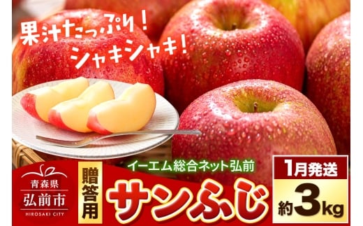 【26年1月発送】りんご  贈答用 サンふじ 約3kg 糖度 13度以上 EMりんご【レビューキャンペーン】