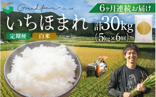 【先行予約】定期便 ≪6ヶ月連続お届け≫ 令和7年産 新米 いちほまれ 白米 5kg 【2025年11月上旬以降順次発送予定】精米 福井県 美浜町産  白米 こめ コメ お米 おこめ 5キロ 10キロ おすすめ [m46-j001] 2256999 - 福井県美浜町
