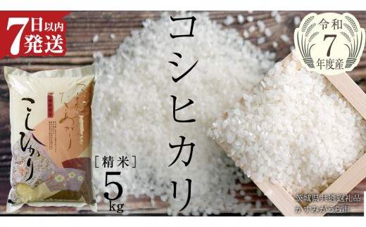 【 令和7年産 】 コシヒカリ 精米 5kg ( 5kg × 1袋 ) (茨城県共通返礼品 かすみがうら市産) 新米 米 ごはん もっちり 甘い コメ お米 白米 銘柄米 [EX010sa]