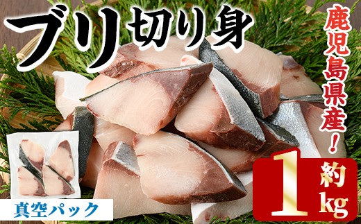 ＜先行予約受付中！2025年11月以降順次発送予定＞ブリの切り身(真空パック・約1kg) 国産 鹿児島県産 ブリ 鰤 魚貝 魚介 海産物 焼き魚 煮つけ ブリカツ 真空【株式会社島水】akn102-03