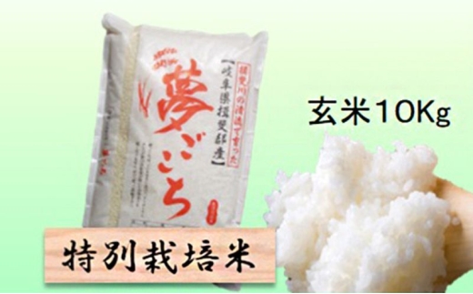 【令和7年産】特別栽培米 10kg【玄米】（夢ごこち） [№5644-1576]
