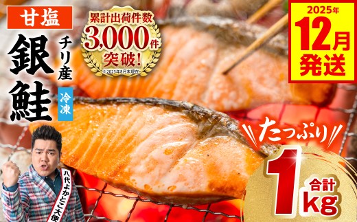【訳あり】 銀鮭 切り身 たっぷり合計 1kg （鮭 塩鮭 サケ サーモン 甘塩 切身 切り身 大容量 人気の鮭 カマ 希少 魚 鮮魚 冷凍） 【2025年12月発送】