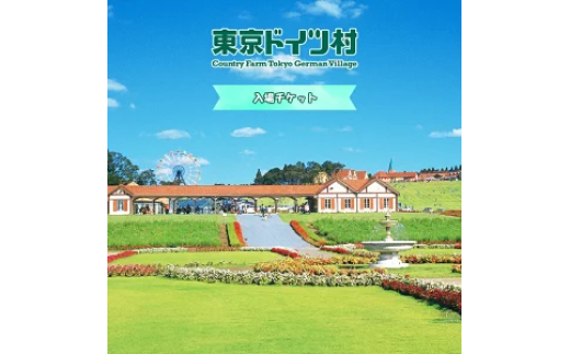 東京ドイツ村 入場チケット 1枚 [0470]
