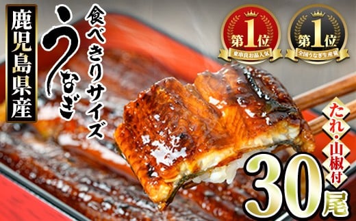 【1084329a】＜食べきりサイズ！＞東串良町のうなぎ蒲焼(無頭)(30尾・計3000g・タレ、山椒付) うなぎ 高級 ウナギ 鰻 国産 蒲焼 蒲焼き たれ 鹿児島 ふるさと 人気 【アクアおおすみ】