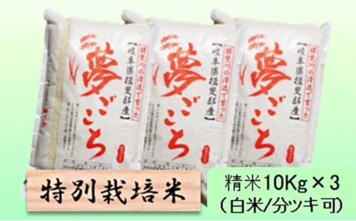 【令和7年産】特別栽培米 30kg【白米､7分ツキ】（夢ごこち）白米 [№5644-7119]