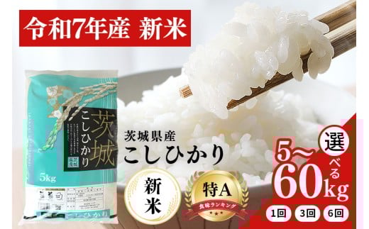 令和7年産 新米 コシヒカリ 米 選べる 5kg 10kg 定期便 30kg (3か月) 60kg (6か月)  白米 こめ こしひかり 国産 国産米 ごはん ご飯 コメ 取り寄せ お弁当 弁当 おにぎり 農家直送 産地直送 特産  ギフト プレゼント 贈り物 茨城県 笠間市 いばらき