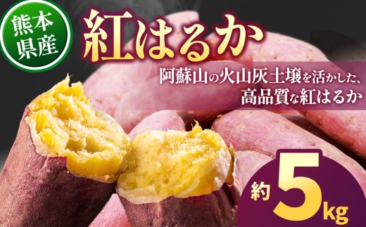 紅はるか 約5kg(9~38個) | 紅はるか さつまいも 野菜 高品質 芋 甘い ねっとり 熊本県 玉名市