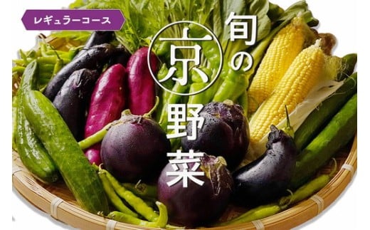 旬の京野菜 レギュラーコース[野菜詰め合わせ 野菜セット 京野菜 旬の野菜 新鮮野菜]
