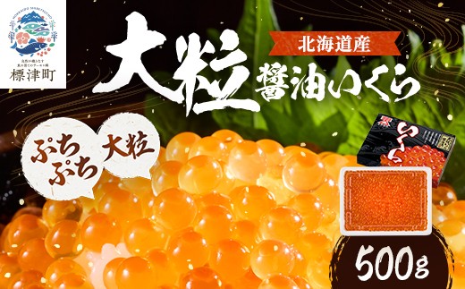 北海道産＜大粒＞醤油いくら　500g×1 イクラ 北海道 人気 おすすめ さけ 魚卵【1468293】
