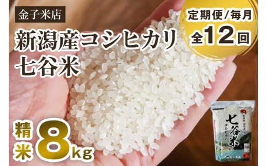 【令和7年産新米先行予約】【定期便12ヶ月毎月お届け】新潟県産 コシヒカリ「七谷米」精米 8kg（2kg×4）《10月上旬から順次出荷》 従来品種 窒素ガス充填パックで鮮度長持ち 老舗米穀店が厳選 金子米店 お米 米 定期便