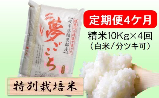定期便4カ月【令和7年産】特別栽培米10kg（白米/7分/5分ツキ可）【白米】(夢ごこち) 米 お米 白米 コメ ご飯 定期 岐阜県 池田町 [№5644-1601]