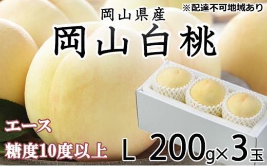 桃 2026年 岡山 白桃 エース 3玉×約200g（Lサイズ）JAおかやまのもも（早生種・中生種） もも モモ 岡山県産 国産 フルーツ 果物 ギフト
