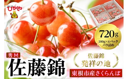 2026年 東根産さくらんぼ「佐藤錦」720g (180g×4ﾊﾟｯｸ) 秀品 Mサイズ 東根農産センター提供 山形県 東根市 hi027-216 2258601 - 山形県東根市