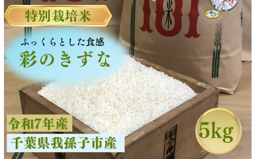 千葉県　我孫子市産　精米　彩のきずな　5ｋｇ