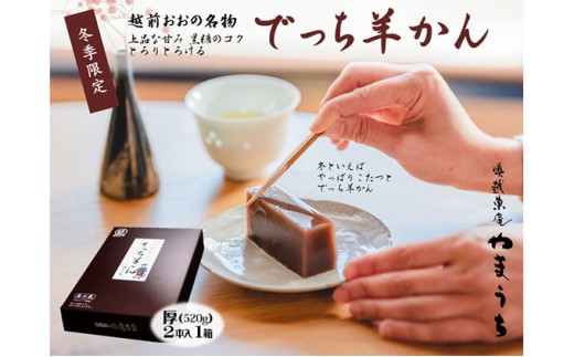 【先行予約】老舗和菓子店　福井県大野市冬の名物 でっち羊かん 厚サイズ（約520g）2本×1箱【11月～順次発送】