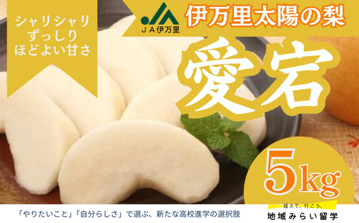 [JA伊万里]佐賀・伊万里梨「愛宕」大型種 約5kg