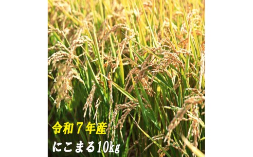 120004-7　【令和7年産】にこまる　10ｋｇ 2258111 - 高知県奈半利町