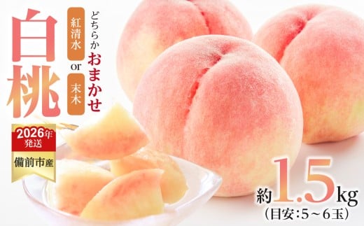 【2026年発送分 先行受付開始!】びぜん白桃 紅清水白桃・末木白桃のうち1品種 約1.5kg(令和8年6月下旬~7月頃発送)【岡山県備前市産 紅清水白桃 末木白桃 うち1品種 約1.5kg (5~6玉目安)】 2274841 - 岡山県備前市