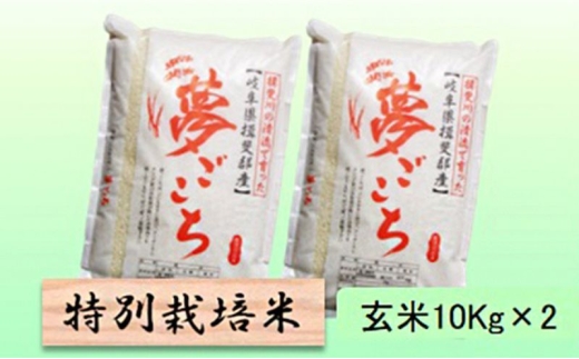 【令和7年産】特別栽培米 20kg【玄米】（夢ごこち） [№5644-1584]