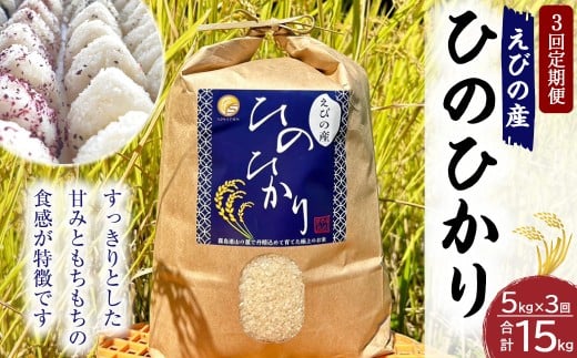 《令和7年産先行予約》【2025年12月発送】【3回定期便】米 ひのひかり 5kg 九州 霧島 えびの産 ヒノヒカリ 発送直前に精米 農家 直送 お米 おこめ こめ コメ 白米 ふるさと納税 5キロ 九州産 宮崎県産  宮崎県 送料無料