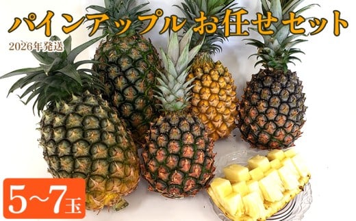 東村産パインアップルお任せセット2(5~7玉)【2026年発送】 パイン パインアップル パイナップル ボゴール ゴールドバレル ピーチパイン サンドルチェ ホワイトココ セット おまかせ 生産量日本一 国産 国産パイン ジューシー 南国 トロピカル 予約 先行予約 沖縄 東村 807937 - 沖縄県東村