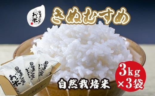 170.日置さん家の自然栽培米「きぬむすめ」無洗米 3kg×3袋 2025年産 2253934 - 鳥取県北栄町