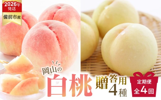 【2026年発送分　先行受付開始！】【定期便】びぜん白桃　贈答用セット　約1.5kg×4回発送（令和8年6月下旬～7月頃発送）【 岡山県備前市産 樹上完熟白桃  約1.5kg（5～7玉目安）×4回発送 贈答用 】 2274835 - 岡山県備前市