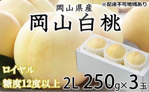 桃 2026年 岡山 白桃 ロイヤル 3玉×約250g（2Lサイズ）JAおかやまのもも（早生種・中生種） もも モモ 岡山県産 国産 フルーツ 果物 ギフト 777531 - 岡山県岡山市
