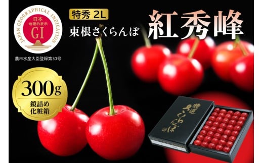 2026年 GI東根さくらんぼ「紅秀峰」300g 鏡詰め 特秀 2Lサイズ 東根農産センター提供 山形県 東根市 hi027-230