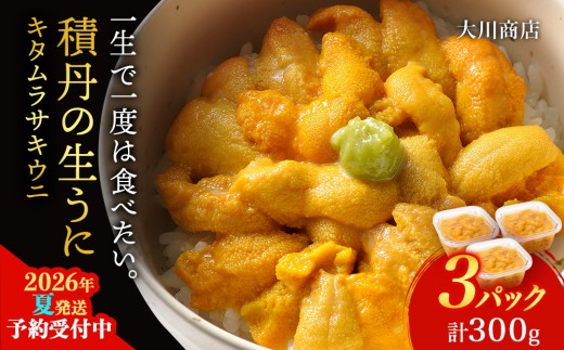 【2026年夏発送分】ムラサキウニ100g×3パック