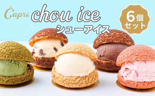 シューアイス GIFT BOX 6個セット　シュークリーム チョコ バニラ アイス お菓子 個包装 おやつ デザート スイーツ かわいい スウィーツ 洋菓子 小分け 一人暮らし 大人気 お取り寄せグルメ 人気 冷凍配送 送料無料 母の日 父の日 贈り物 プレゼント