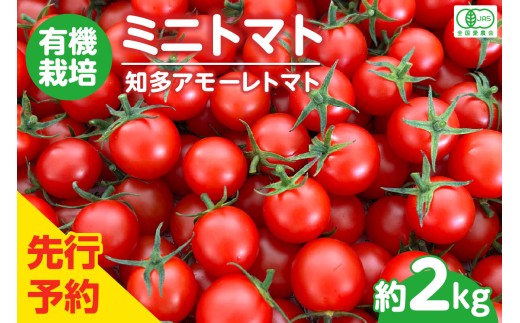 ★先行予約★　有機栽培ミニトマト　知多アモーレトマト　約2kg／ とまと 野菜 高糖度 愛知県 特産品 1013502 - 愛知県知多市
