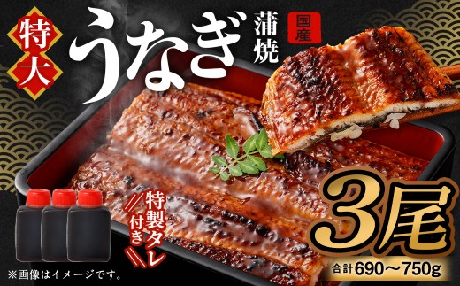国産うなぎ蒲焼 3尾（690〜750g）と特製タレ3個セット【2026年5月発送】｜ 鰻 ウナギ 蒲焼 うなぎ蒲焼 タレ付 大阪府 阪南市 2237227 - 大阪府阪南市