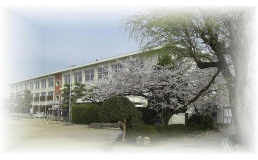 【学校応援ふるさと寄附金】田原本町立田原本小学校（返礼品なし）5,000円