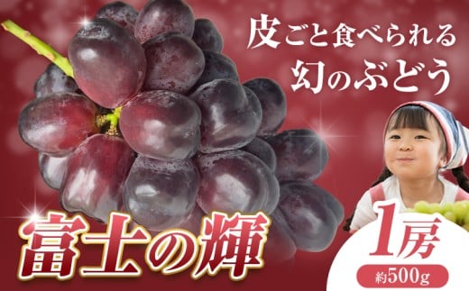 ぶどう 富士の輝 1房 500g 株式会社ヤマナカ《8月中旬-9月下旬頃出荷》茨城県 結城市 アッシーリス フルーツ 旬 種なしぶどう たねなし 皮ごと食べられる シャインマスカット 果物 冷蔵便 送料無料 ブラックシャインマスカット