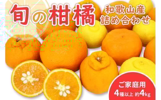 柑橘詰め合わせセット 家庭用４種以上 約4kg 和歌山産≪先行予約2026年1月下旬頃より順次発送分≫