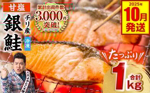 【訳あり】 銀鮭 切り身 たっぷり合計 1kg （鮭 塩鮭 サケ サーモン 甘塩 切身 切り身 大容量 人気の鮭 カマ 希少 魚 鮮魚 冷凍） 【2025年10月発送】
