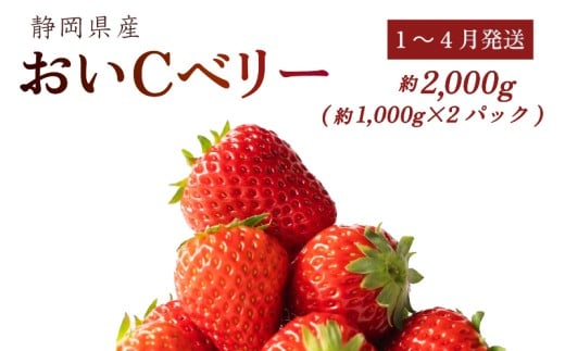 【1~4月発送】 おいCベリー 2000g以上 いちご 1000g×2パック イチゴ 冷蔵発送 苺 2kg 土耕栽培 フルーツ 果物 スイーツ デザート朝摘み ストロベリー おやつ 完熟 直送 ギフト 家庭用 贈答用 贈答 ギフト 贈り物 甘い ブランド ジャム アレンジ フルーツサンド 農家直送 ベリー 産地直送 国産 おすすめ 森木農園 静岡県 牧之原市 ~土耕栽培だから濃くて甘い!~ 1122884 - 静岡県牧之原市