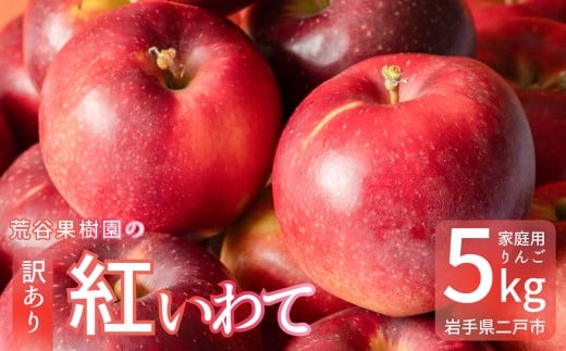 【訳あり】 紅いわて 約5kg 家庭用／わけあり りんご リンゴ フルーツ 果物 岩手 【2025年9月上旬－10月上旬発送予定】
