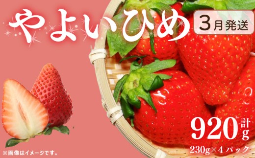 《3月発送》 先行予約 訳あり いちご やよいひめ 920g 苺 ストロベリー 果物 フルーツ ケーキ ゼリー ジュース アイス シャーベット チョコ フルーツサンド いちご大福 大福 洋菓子 和菓子 スイーツ デザート ジャム 不揃い 規格外 家庭用 甘い 人気 おすすめ お取り寄せ グルメ 徳島県 阿波市 Berry Mate Farm