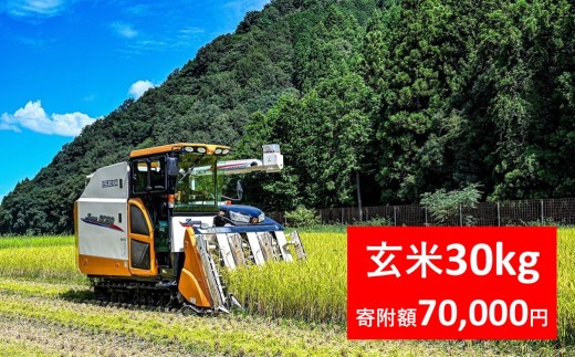 【先行予約】令和7年産 稲場農産 慎ちゃんのお米 コシヒカリ 玄米 30kg×1袋 令和7年産 先行予約 新米予約 コシヒカリ お米 30kg 安心 安全 良質 美味しい お試し 兵庫県 朝来市 2248257 - 兵庫県朝来市